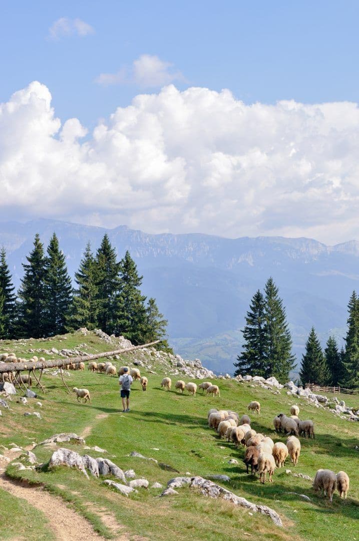 Drumeții