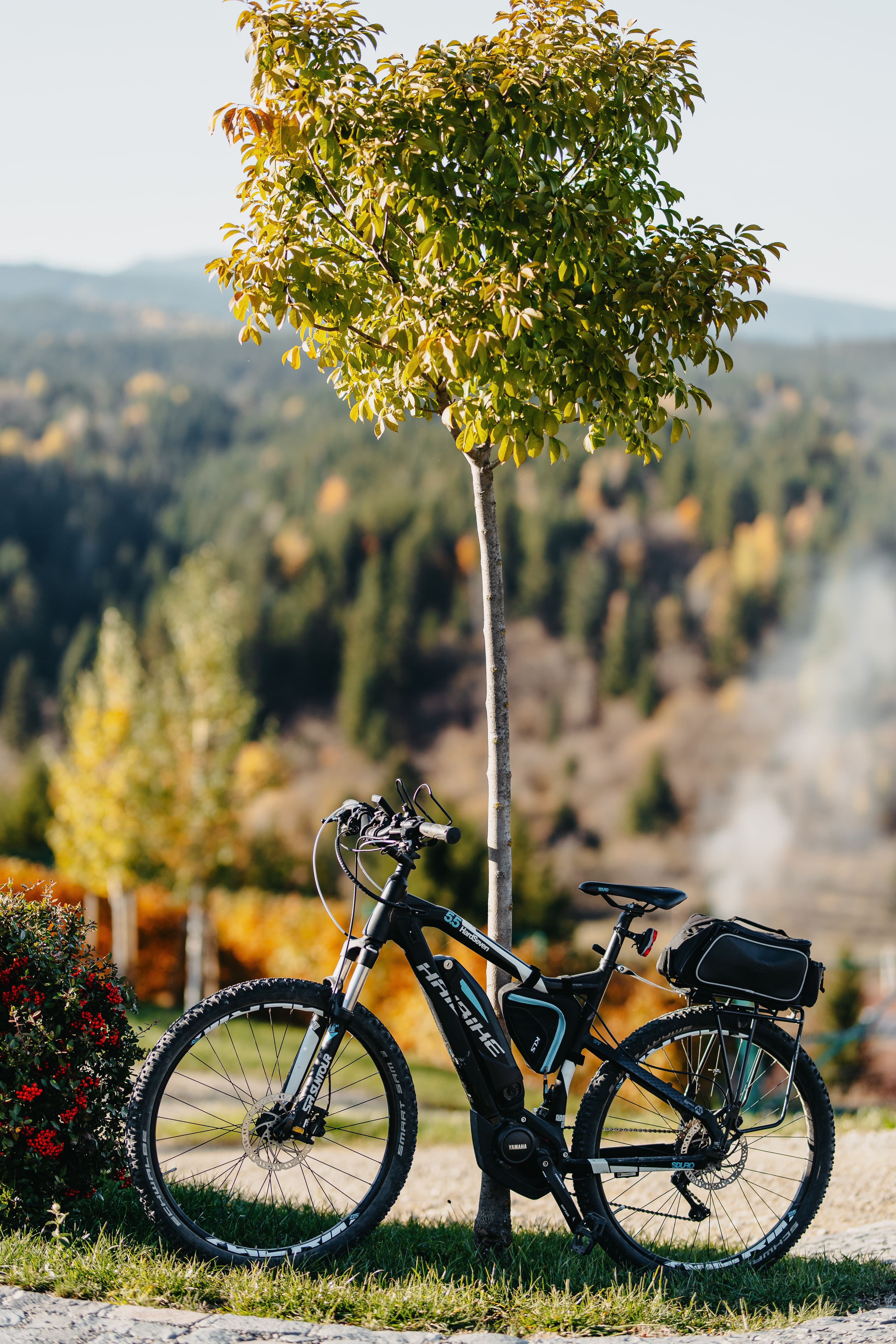 Cultural experiences